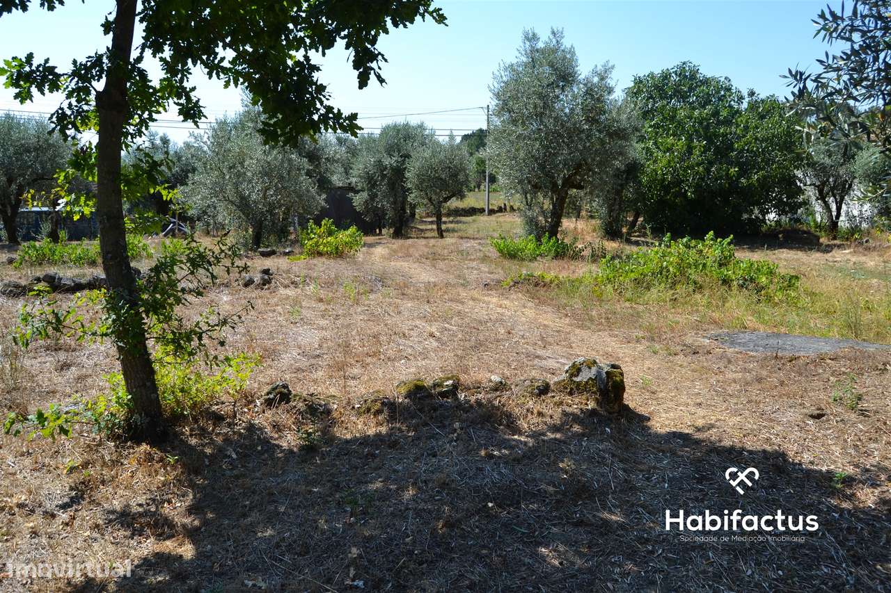 Terreno com viabilidade de construção em Vale Madeiros - Nelas - Grande imagem: 5/5