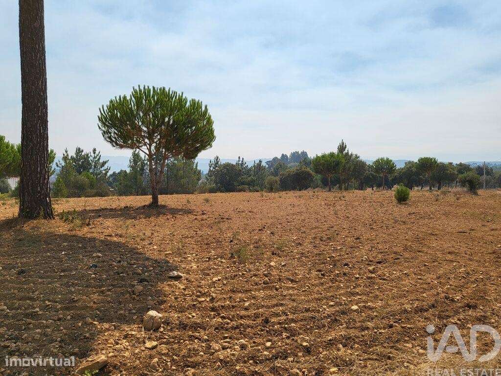 Terreno para construção em Martinchel de 1000,00 m2 - Grande imagem: 5/27