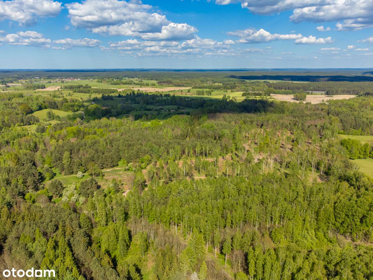 Działka inwestycyjna-1