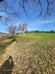 Quinta/Terreno de 6Ha com Viabilidade Construtiva de moradia unifamili