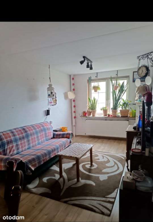 dom Herby - Pełny obrazek: 4/14