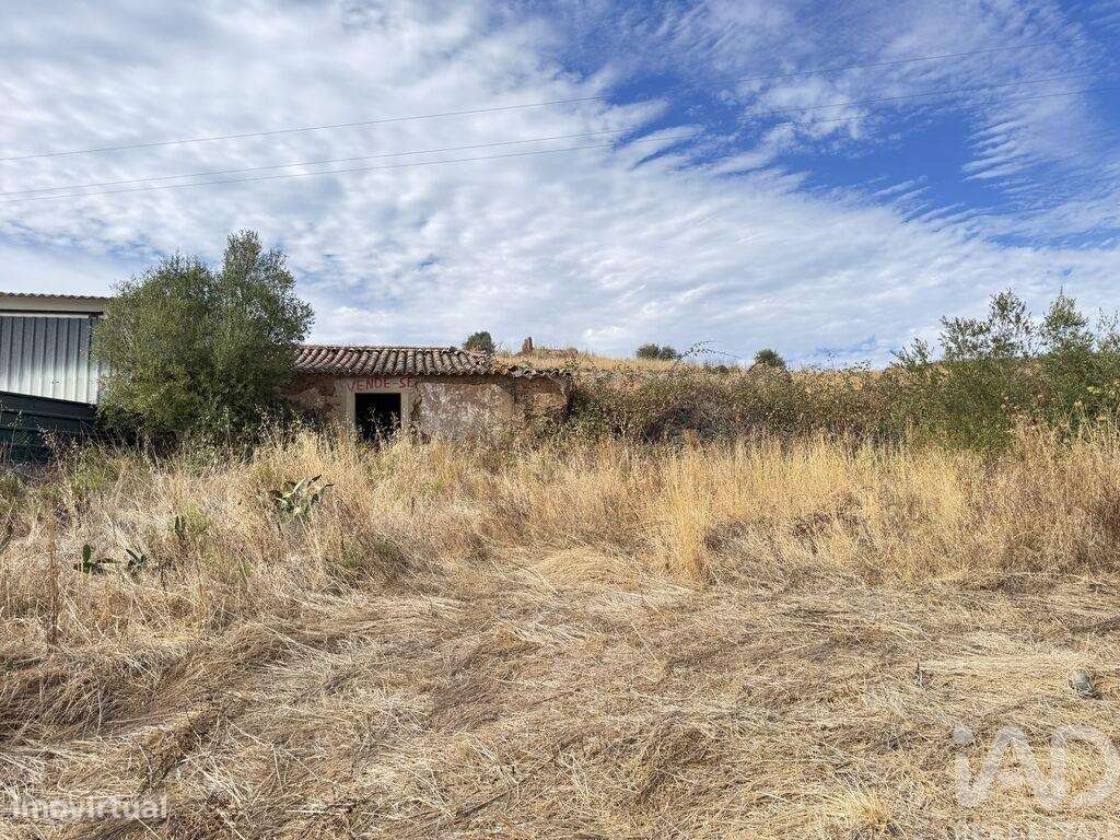 Casa / Villa T3 em Mexilhoeira Grande de 178,00 m2 - Grande imagem: 3/11