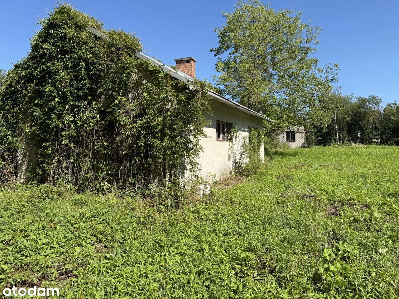 Działka budowlana 15 ar - Pełny obrazek: 2/7