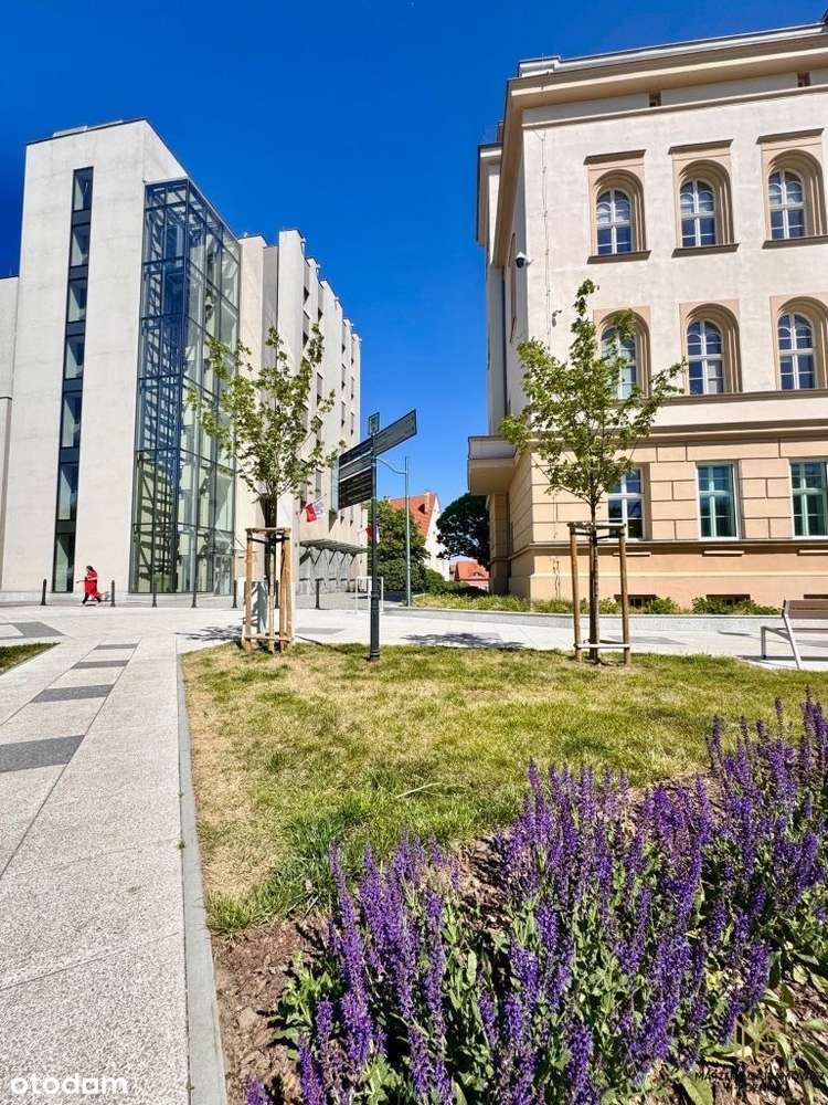 Lokal ścisłe centrum - deptak, blisko Sądu-16