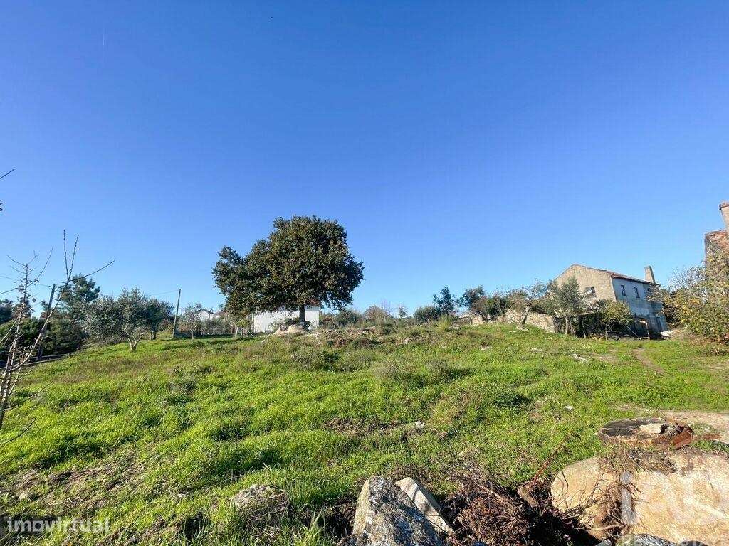 Terreno em Povolide de 8415,00 m2 - Grande imagem: 3/15