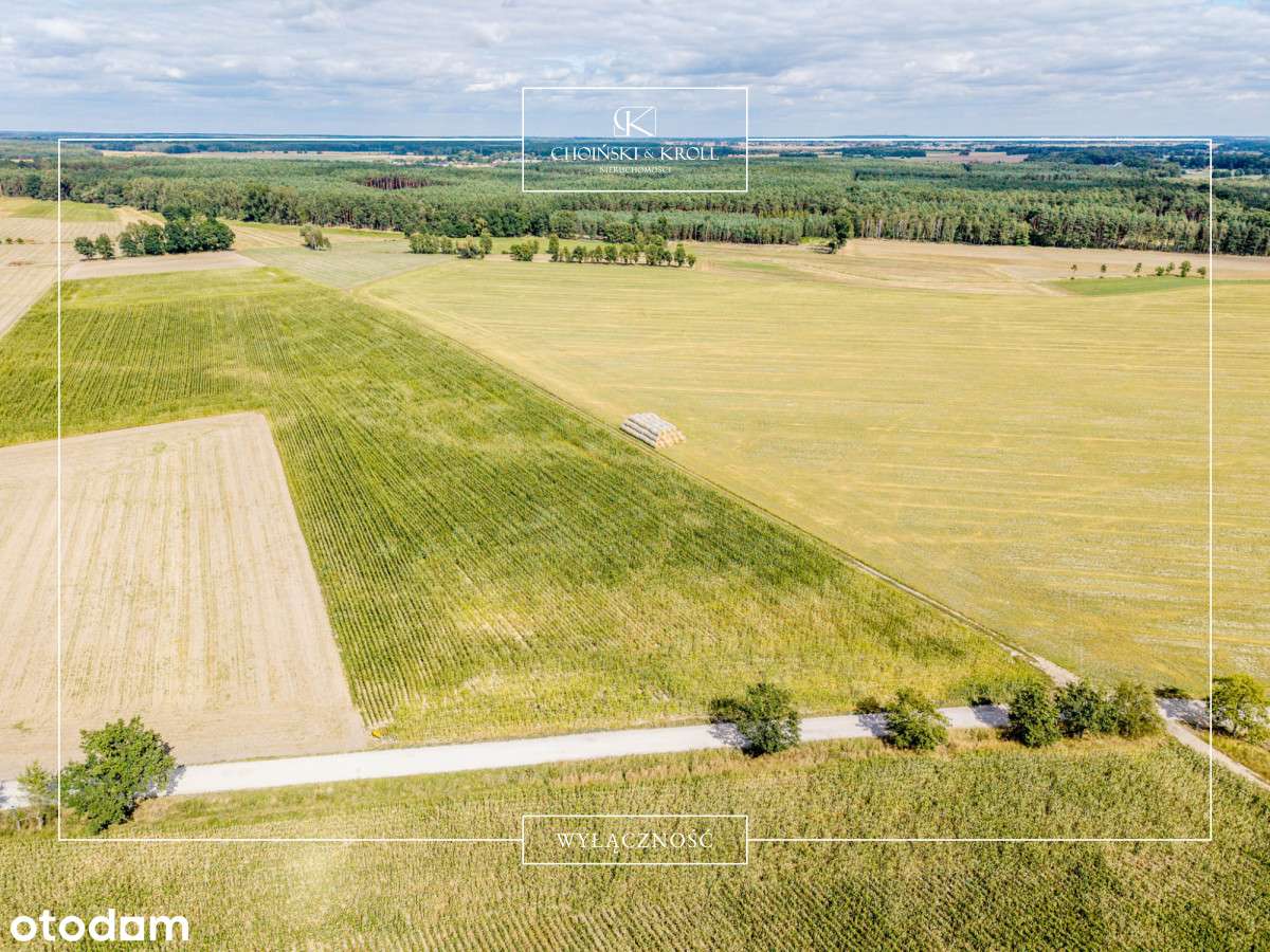 Okazja! Działka budowlana w sercu natury - Pełny obrazek: 5/5