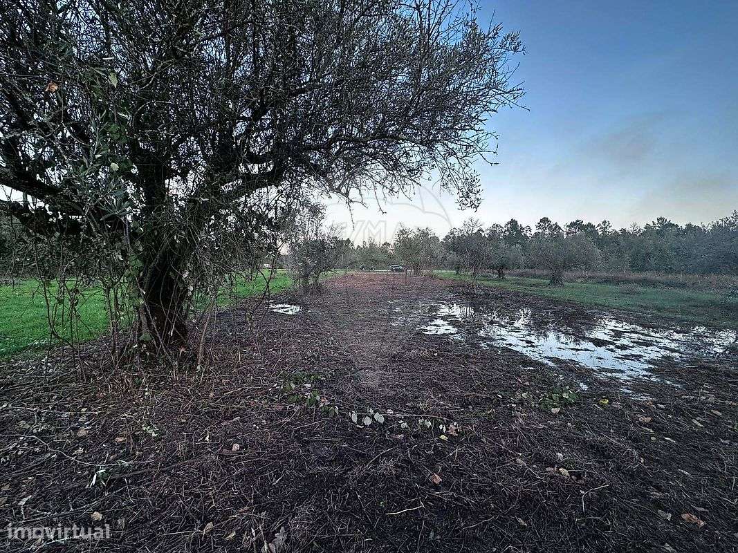 Terreno  para venda - Grande imagem: 3/14