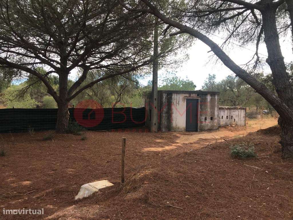 Terreno Misto com Potencial Residencial e Rústico em Boliqueime - Grande imagem: 4/26