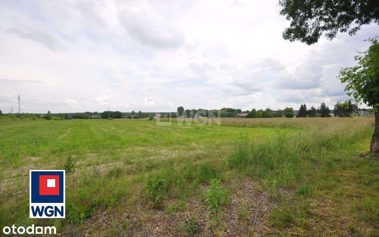 Działka, 2 826 m², Kodrąb-14
