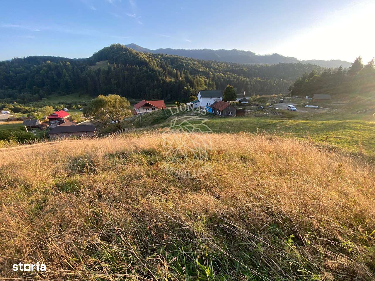 Teren Intravilan 1000mp-panorama-oportunitate investitie-Colibita - Imagine principală: 3/8