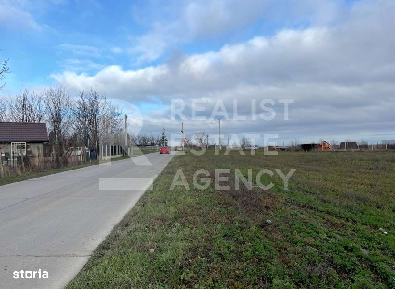 Teren 10.000 mp: 5.000 mp intravilan + 5.000 mp extravilan – Horlești - Imagine principală: 5/5