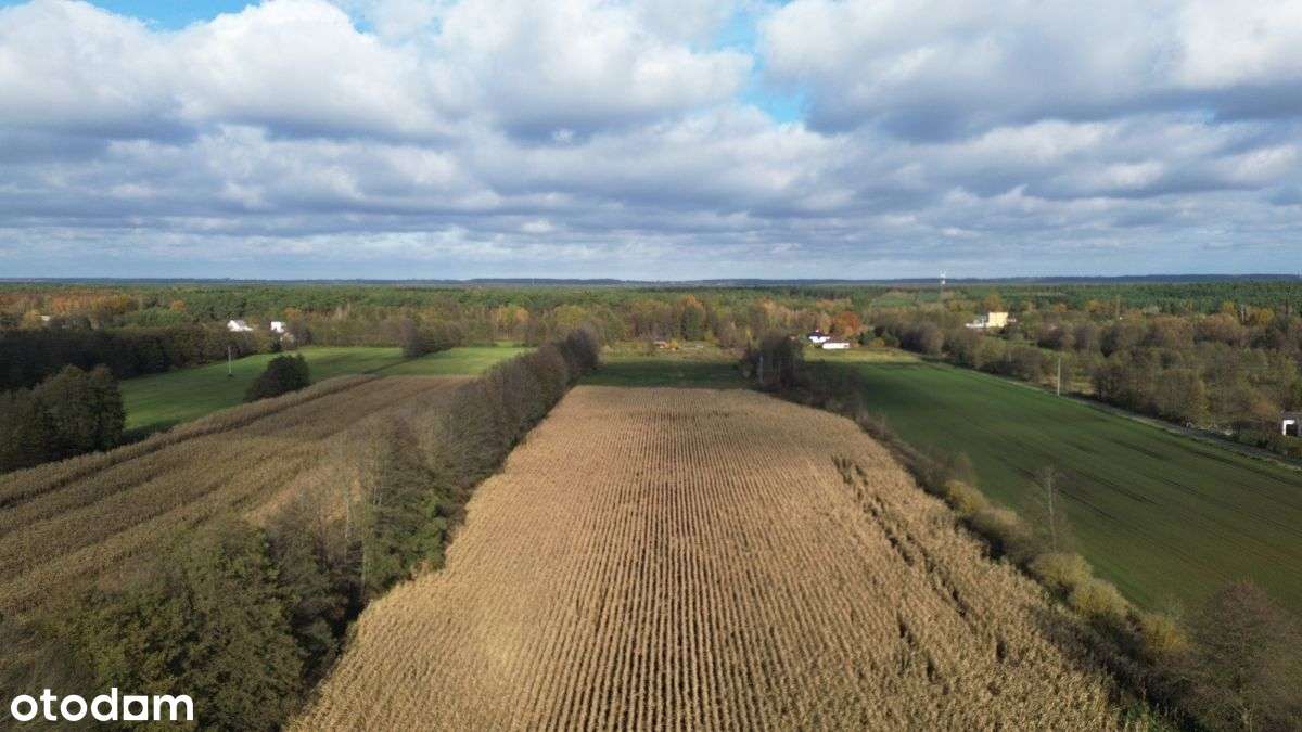 3195m2*3058m2*12minut do Torunia-7