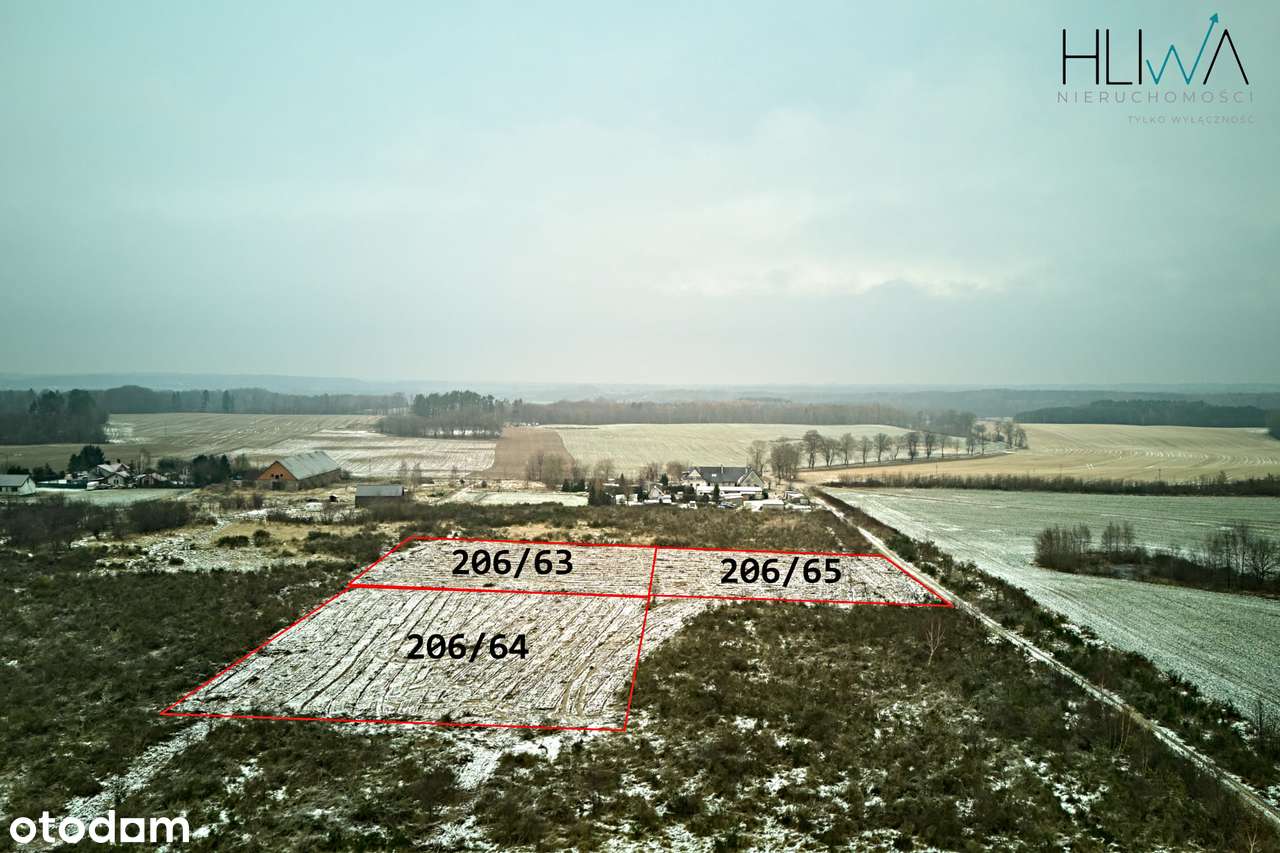 Działka zagrodowa Mierzyno gm. Gniewino 3011 m2-6