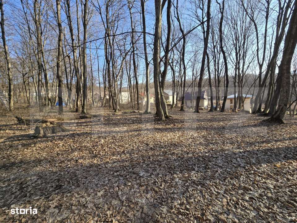 Teren cu sufrafata de 1100 mp in Padurea Faget - Imagine principală: 2/10