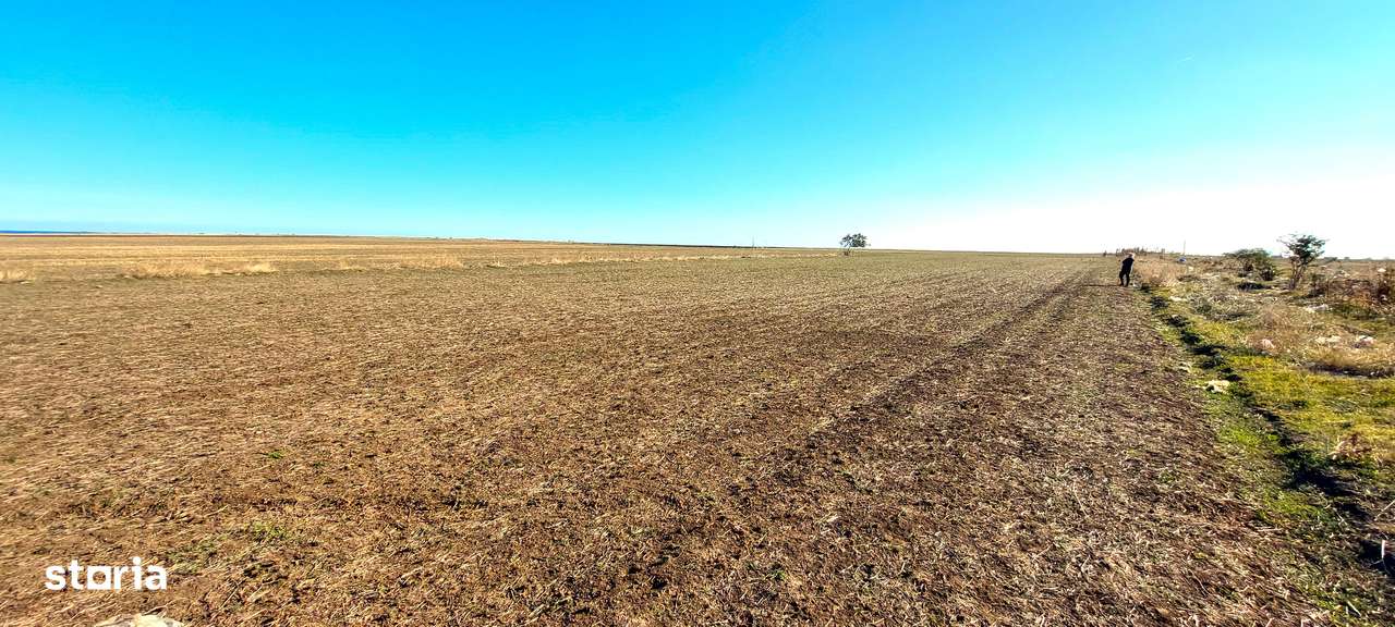 Eforie Sud, Teren 1608mp.D=50m./32m.1km.distanta de Mare-15