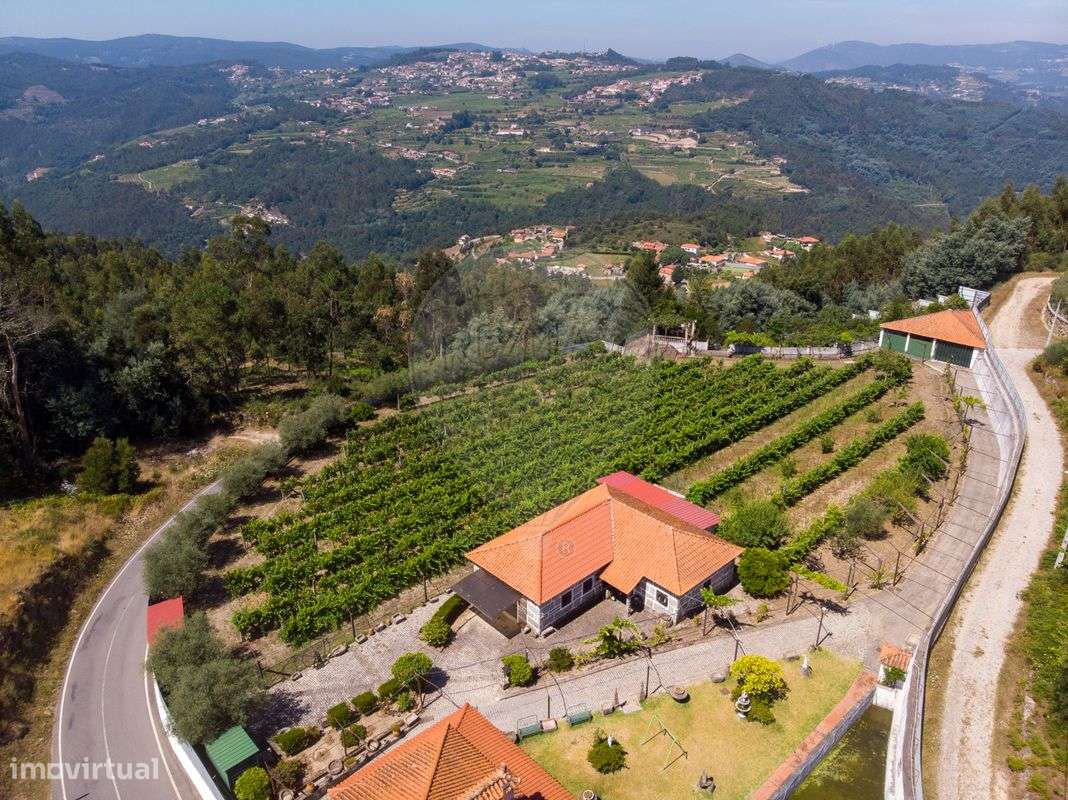 Quinta T3 para venda - Grande imagem: 5/34