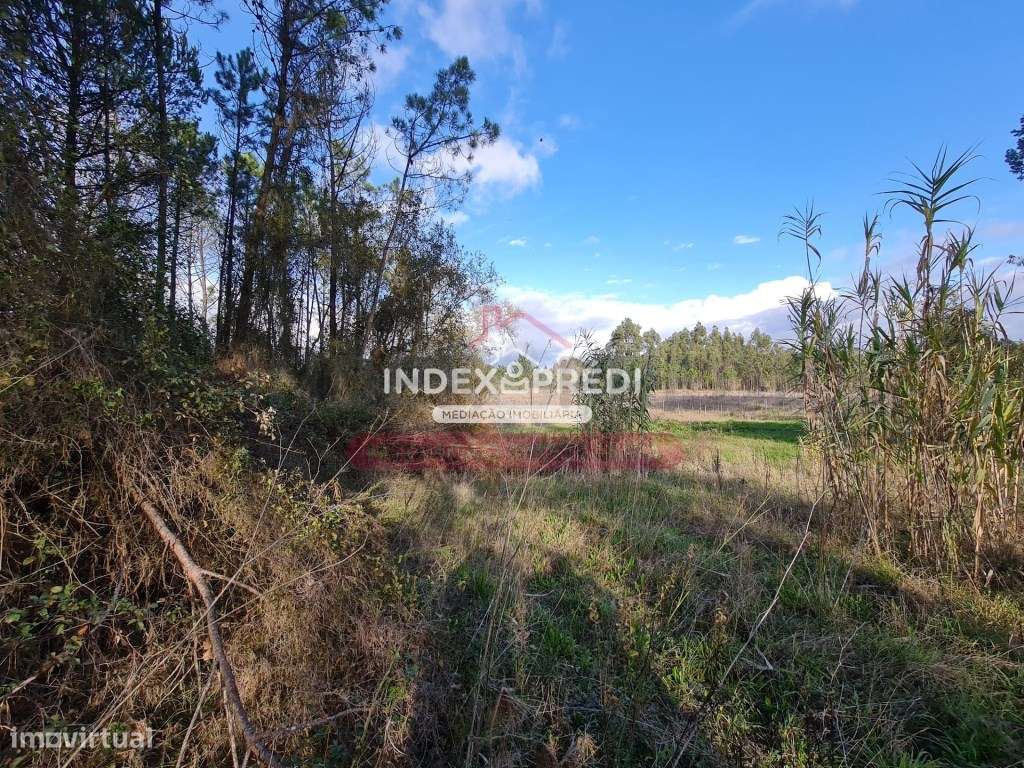 Terreno Venda Cantanhede - Grande imagem: 4/10