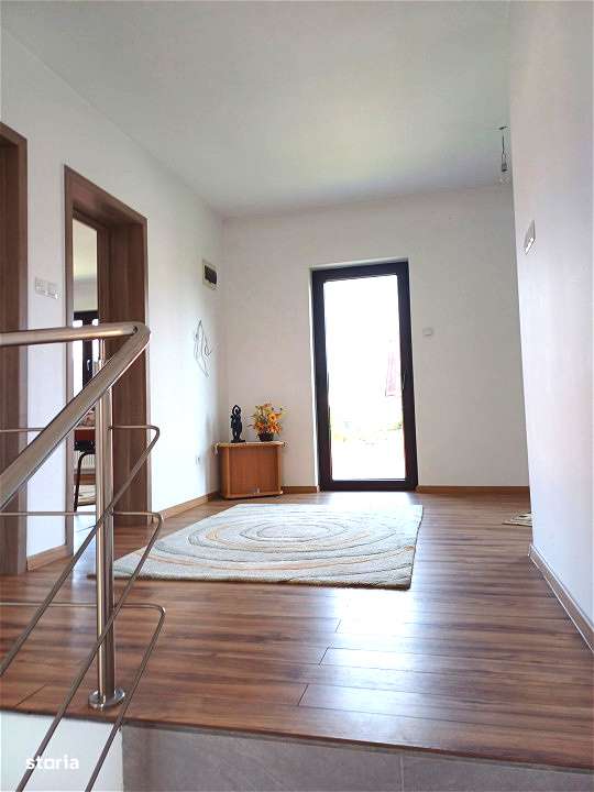 DOUA CASE DE VANZARE LA TALMACIU-11