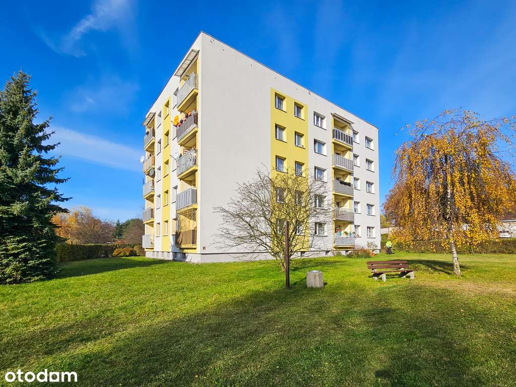 Po generalnym remoncie z umelowaniem + balkon !-2