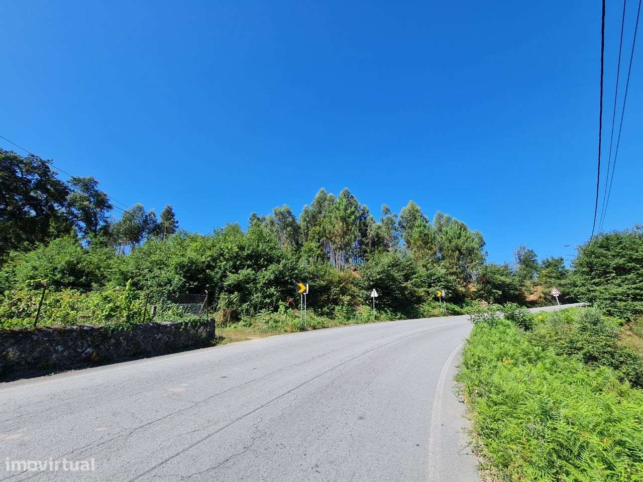 Vende-se 8000m2 de terreno com área de construção para moradia-4