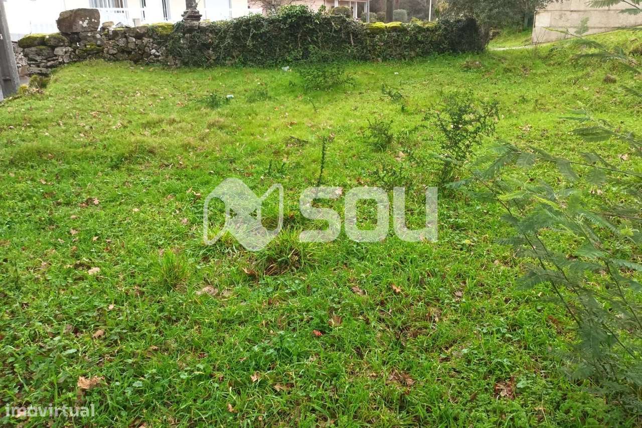 Terreno para Construção - Quinchães - Grande imagem: 2/2