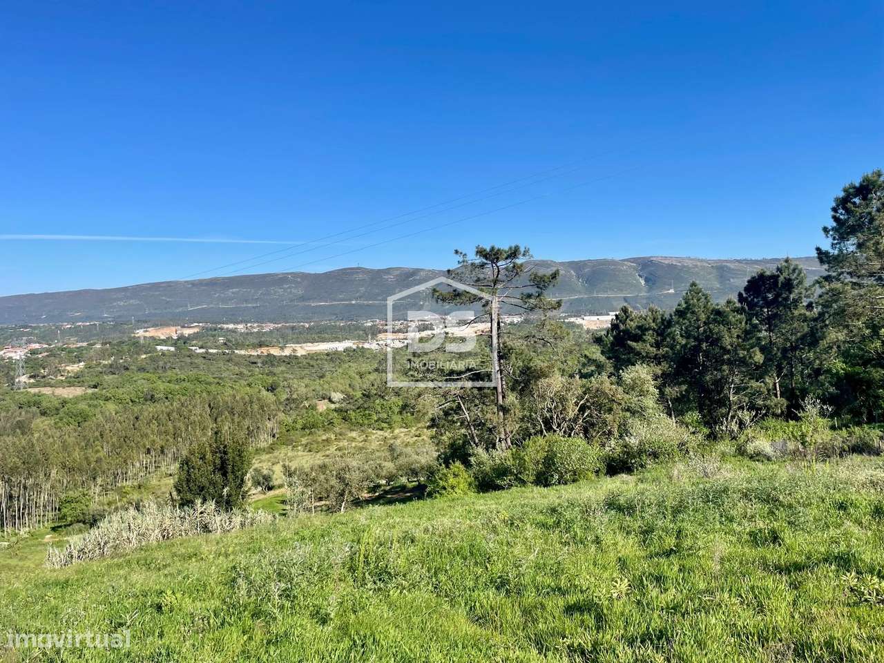 Terreno  Venda em Aljubarrota,Alcobaça-7