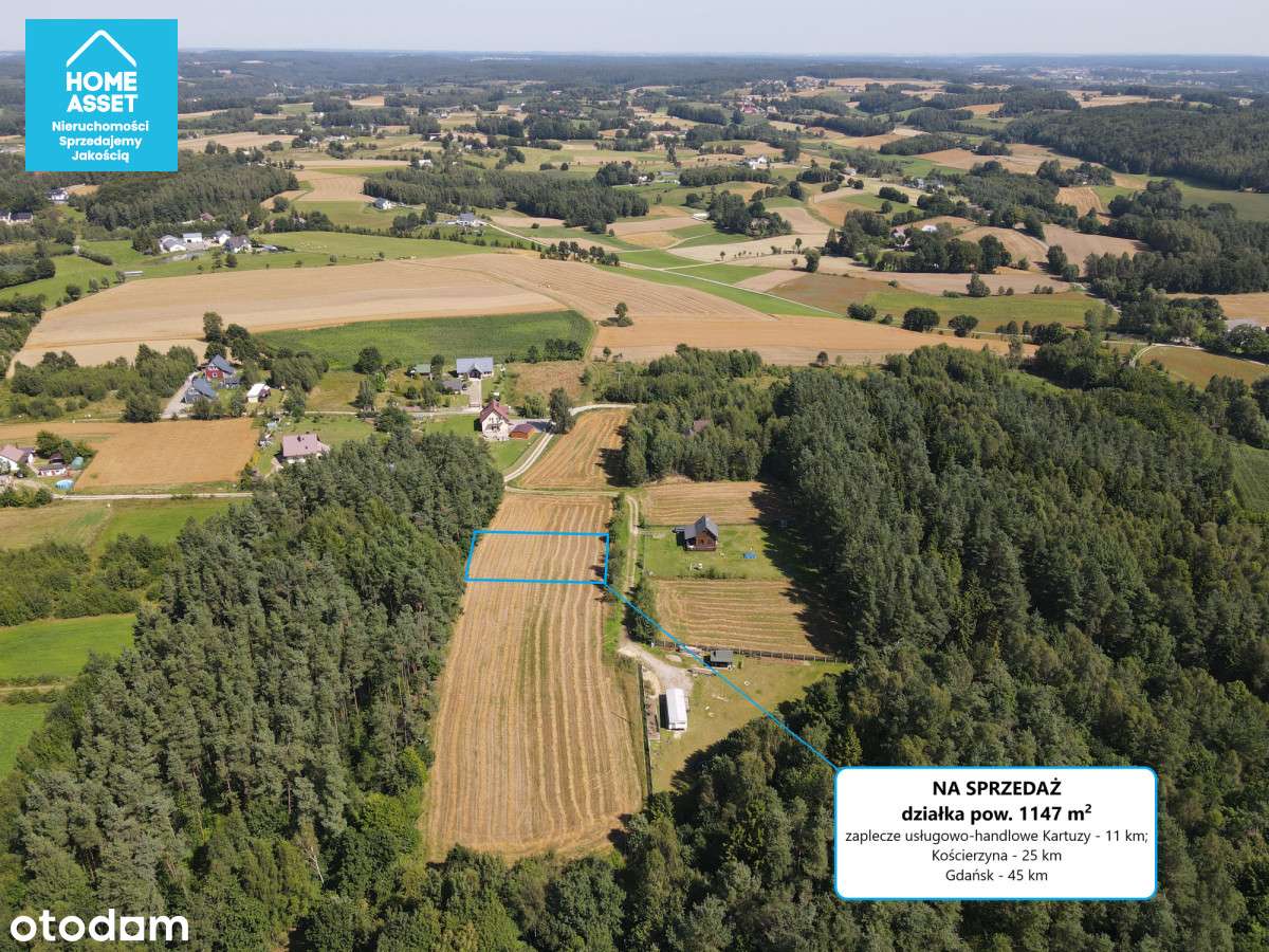 Kaszuby • Piękna działka pod dom lub letnisko - Pełny obrazek: 4/12