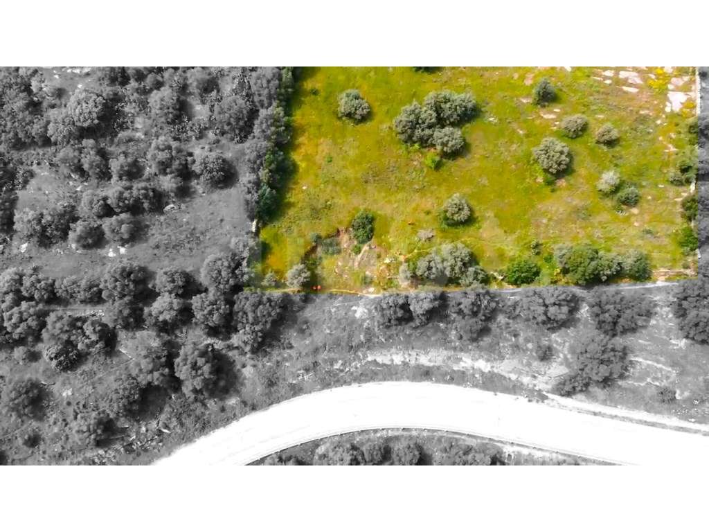 Terreno na Encosta do Castelo de Monsaraz-16