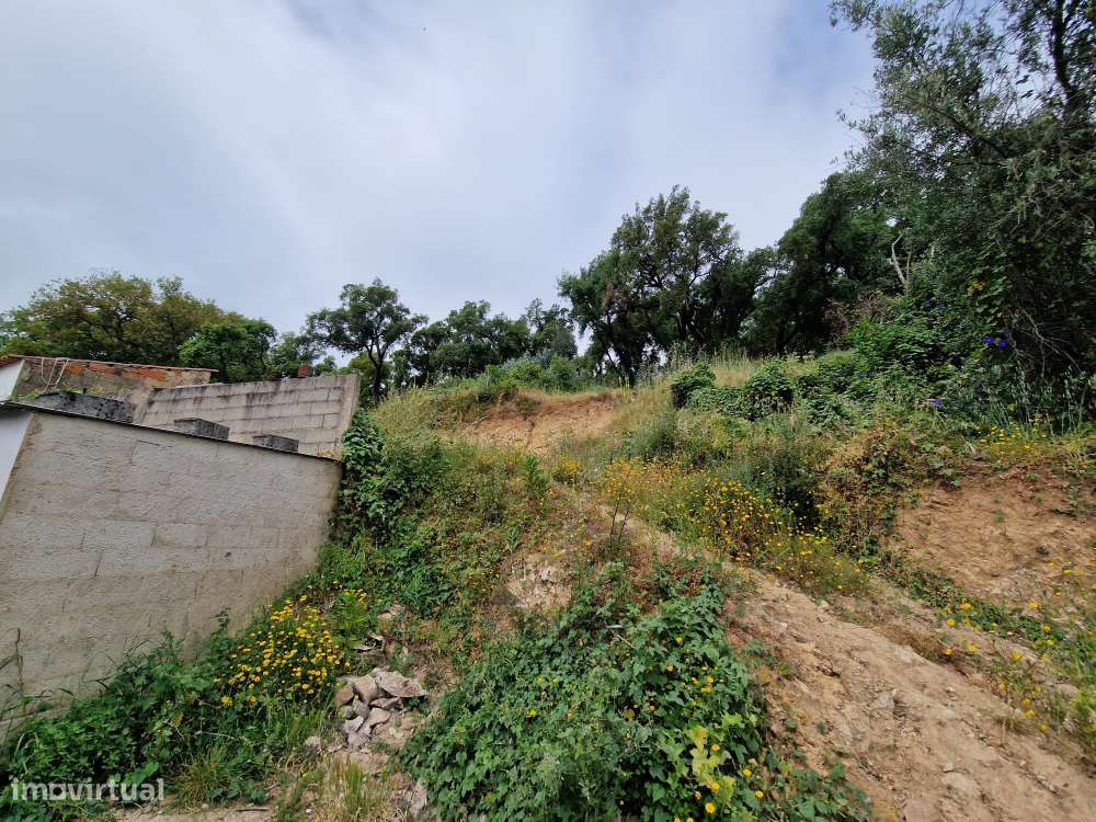 Terreno com Casa para Recuperar - Malhada Quente, Monchique-8