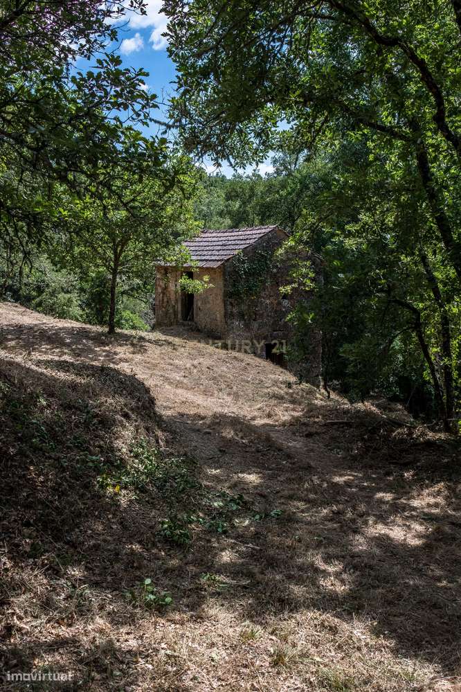 Quinta em  Midões, Tábua, com cerca de 6 hectares junto ao Rio Cavalos - Grande imagem: 4/32