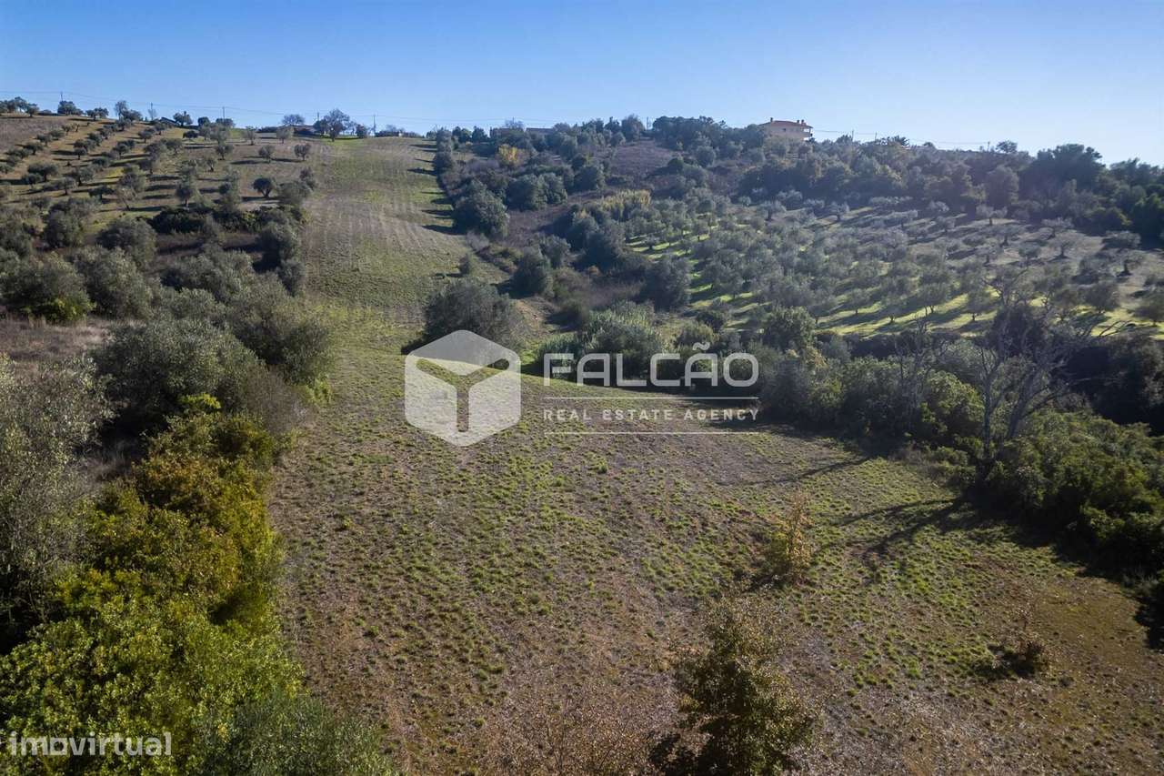 Terreno Para Construção  Venda em Moçarria,Santarém-0