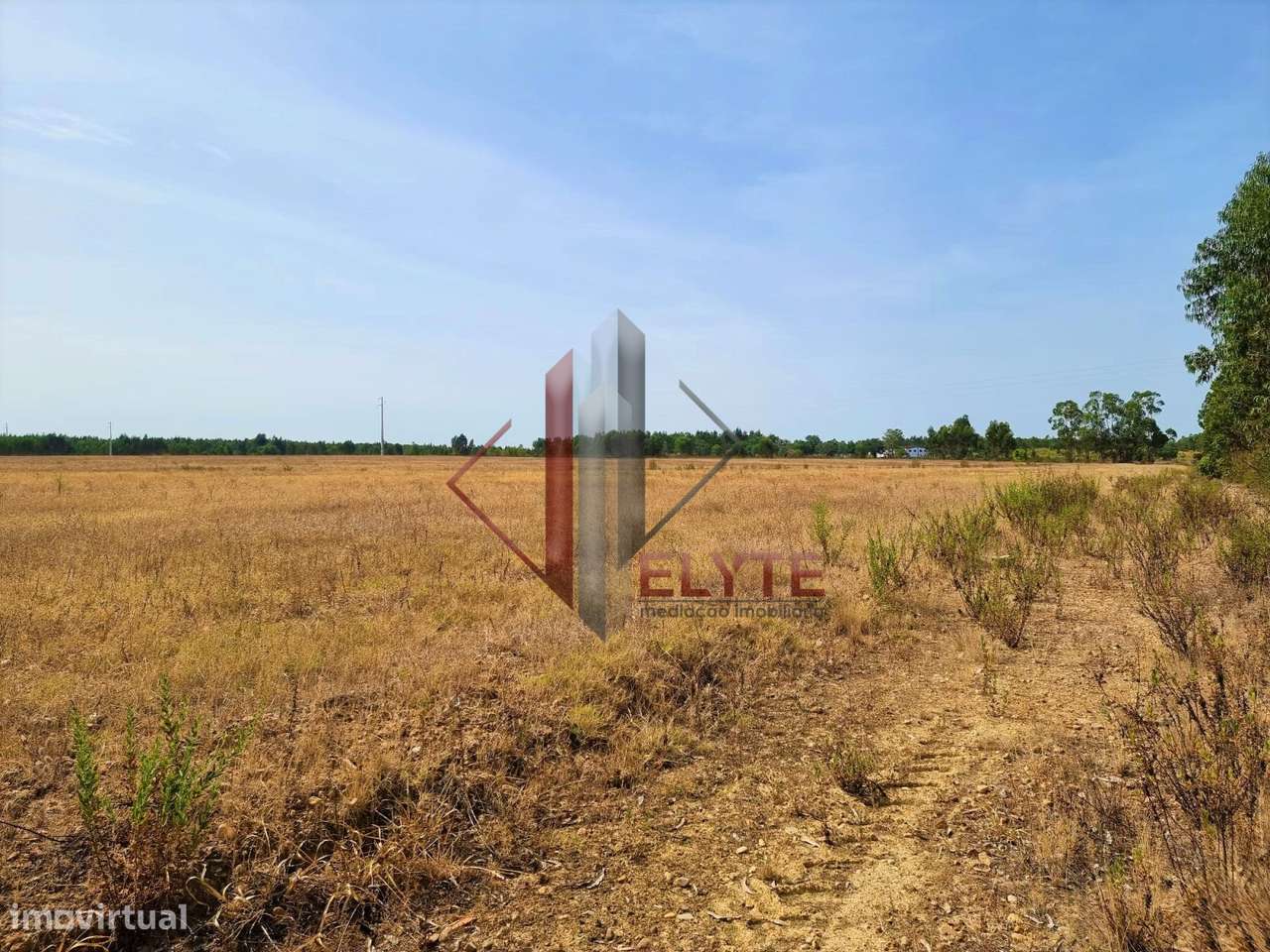 Terreno em Gloria do Ribatejo com 13ha-7