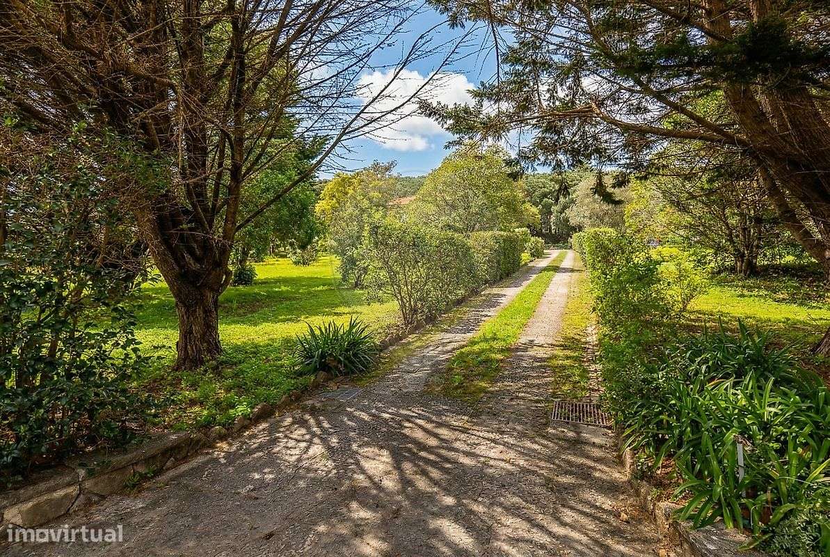 Moradia T6 para arrendamento - Grande imagem: 4/35