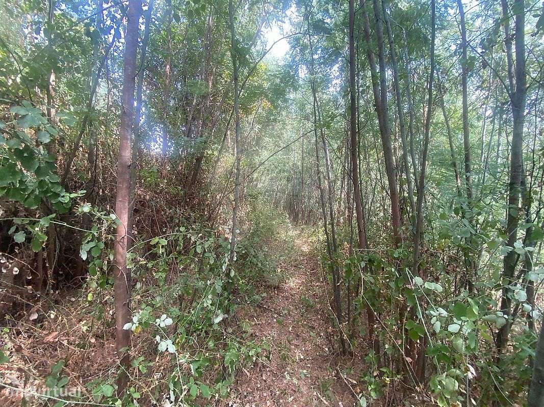 Terreno  para venda - Grande imagem: 4/8