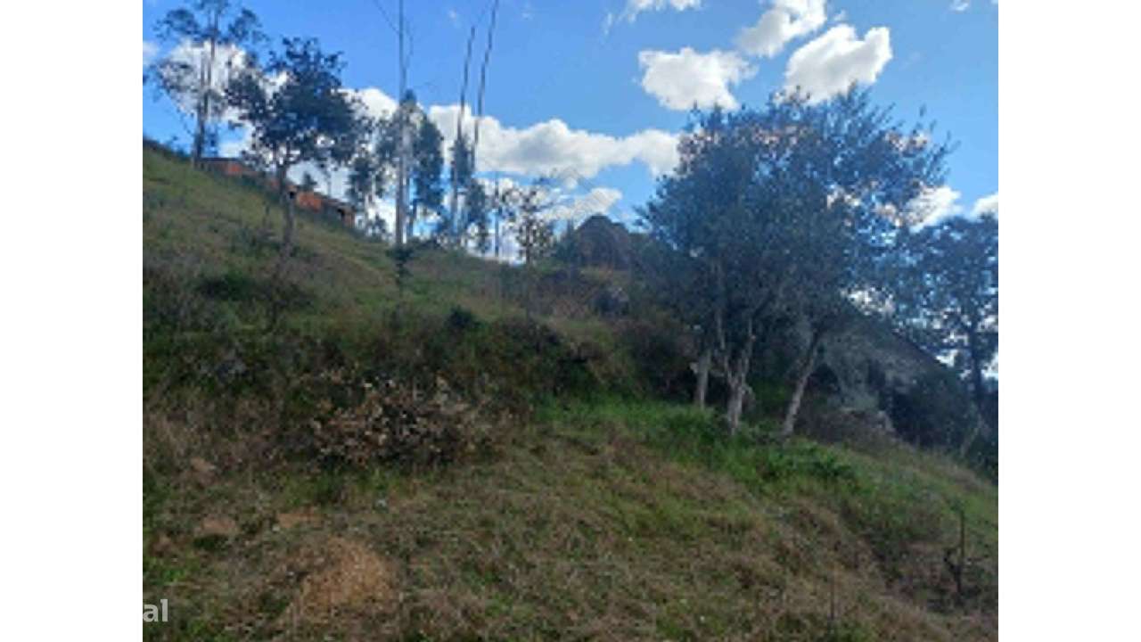 Quinta em Belver-36
