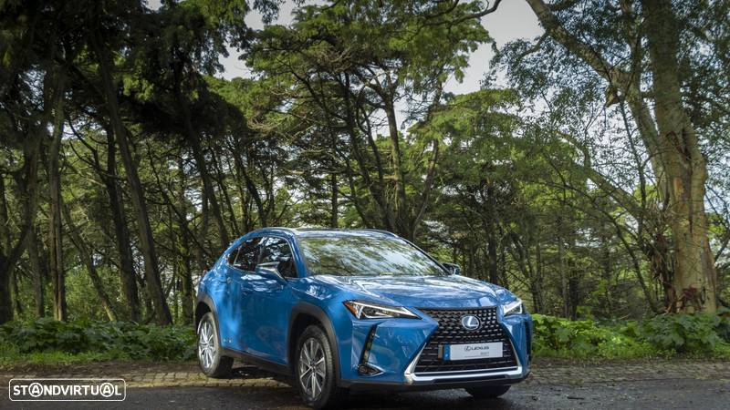 Lexus UX 300e Premium+TAE - 3