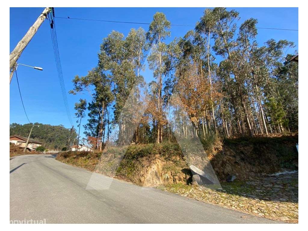 Terreno urbanizável próximo do Centro Histórico de Santa Maria da F... - Grande imagem: 2/5