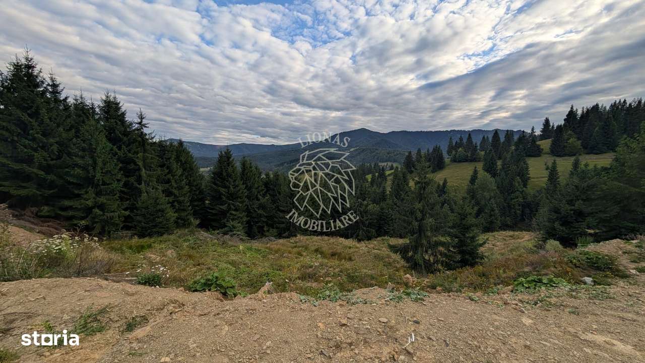 Parcele teren intravilan cu utilitati-panoramic-Colibita - Imagine principală: 1/4