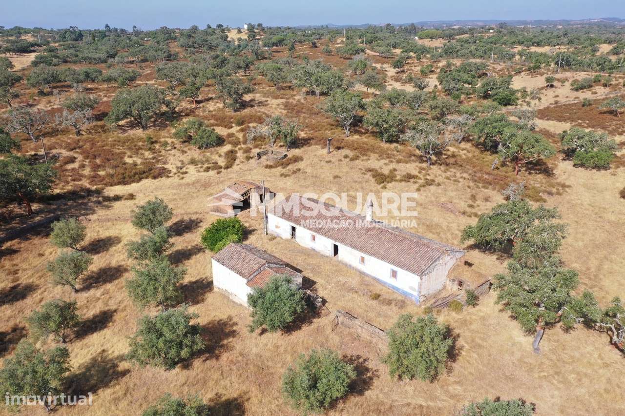 Monte do Chaparral — Ourique-14