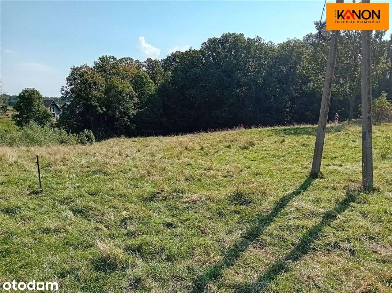 Działka, 3 700 m², Roztropice-7