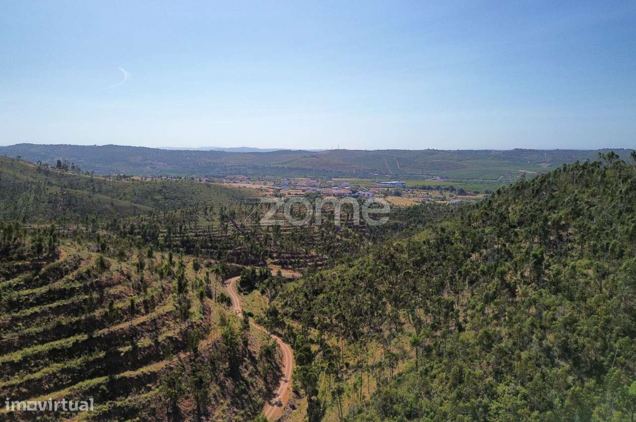 Moradia em Ruina com 86ha de Terreno, em Silves - Grande imagem: 2/15