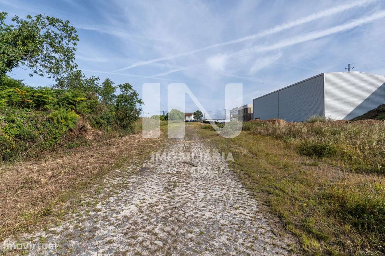 Armazém em Ribeirão-15