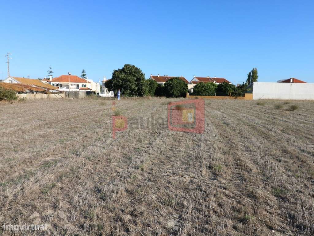 TERRENO EM SARILHOS GRANDES COM 1HA - Grande imagem: 2/7