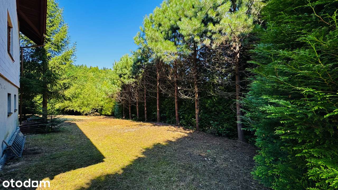 Dom z własnym pięknym mikro lasem na dużej działce 1772 m2 BRENNA-5