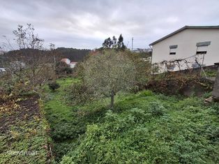 Terreno  para venda - Grande imagem: 5/6
