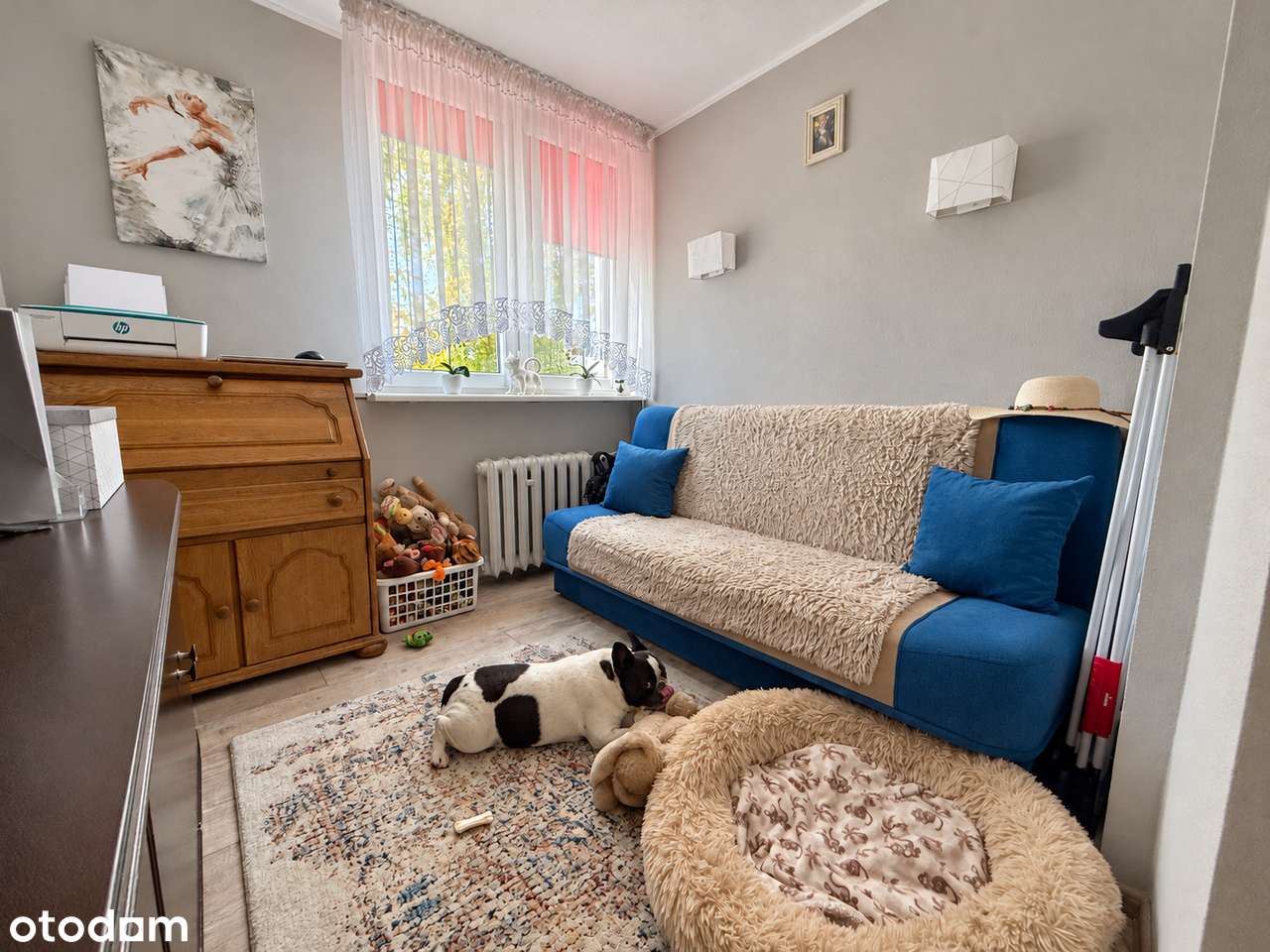 Czteropokojowe mieszkanie na wysokim parterze | Lubin, Małomice-13
