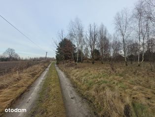 działka budowlana z pozwoleniem Leszno Wilkowa W