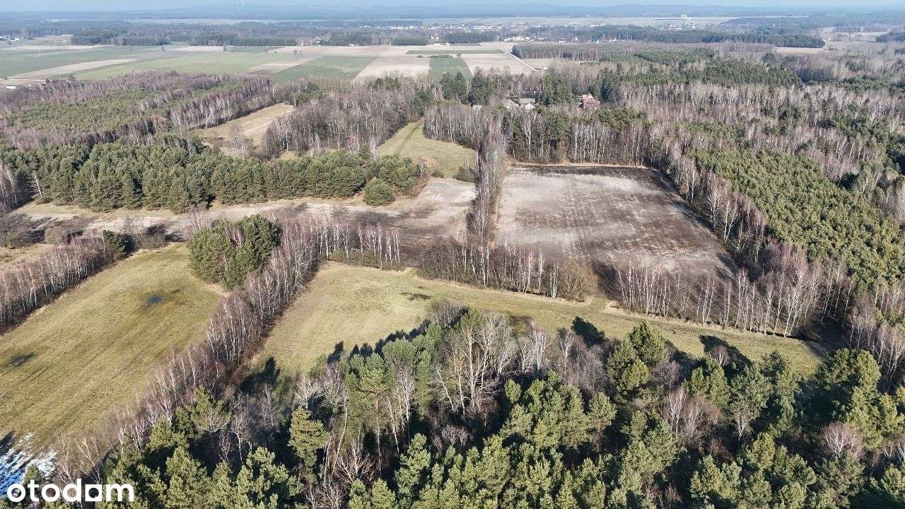 Rzewuszyce, Kluczewsko k/ Włoszczowy - Pełny obrazek: 4/5