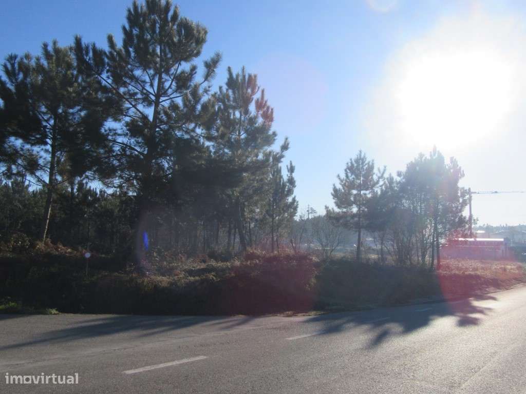 Terreno para construção na zona de Monte Real - Grande imagem: 3/10
