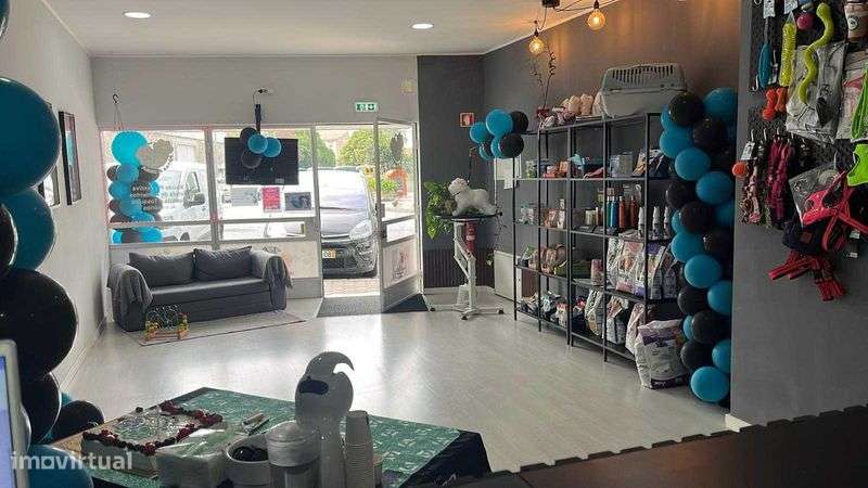 Trespasse fantástica PET-HOP - Grande imagem: 4/5